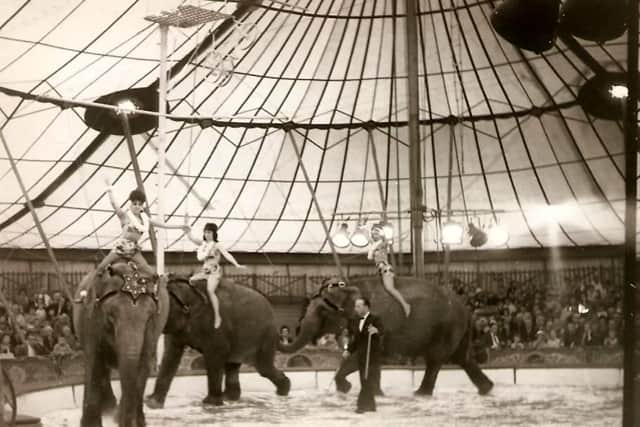 The circus included lions, tigers, elephants (above), monkeys, sealions, polar bears, camels, zebras and llamas as well as a giraffe.