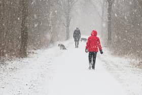 Many dogs still love the chance to go out on adventures during the colder months (photo: Adobe)