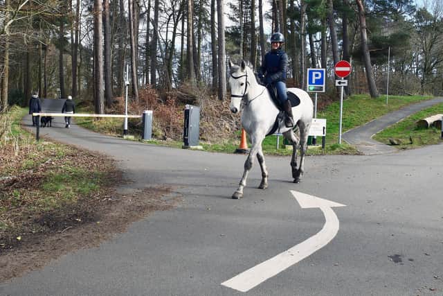 Only those on wheels need to pay to park. Pic: Michael Gillen