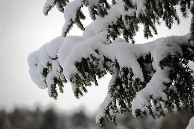 Frequent snow showers are forecast for Friday