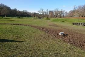 The new cycle trails will be located near the park's nine hole golf course