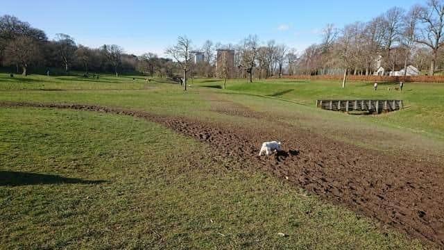 The new cycle trails will be located near the park's nine hole golf course