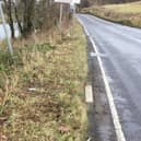 Tree felling between the canal and the road has left no barrier between the two.