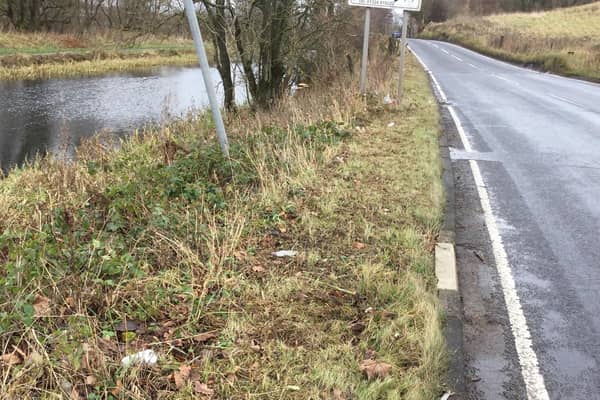 Tree felling between the canal and the road has left no barrier between the two.