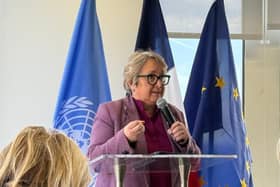 Christine speaking to a delegation at the United Nations in New York