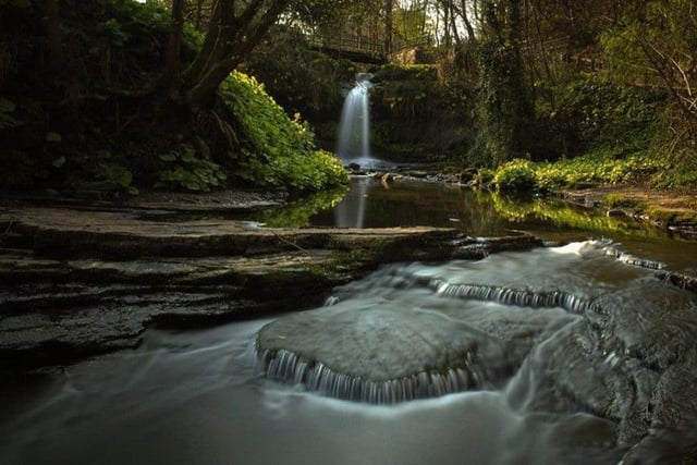 Another ideal place to take younger children is Westquarter Glen. It's an easy walk and very accessible, with great wildlife to be spotted right on the town's doorstep. Picture: Benjamin Hugh.