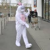 Easter Bunny outside Aldi in Camelon