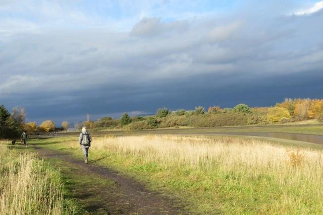 Amazing walks along Bo'ness foreshore include Kinneil House to Blackness Castle, which offers amazing views and historical sites.  Part of the John Muir Way, this flat route has good paths. In summer there are stunning.wildflower meadows. Picture: Falkirk Council Ranger Service.