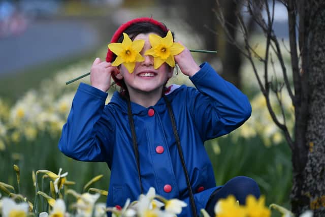 A Spring Spectacular takes place at Zetland Park this weekend for lots of spring time family fun.