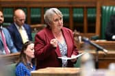 Christine Jardine was sacked after voting against a Tory amendment 