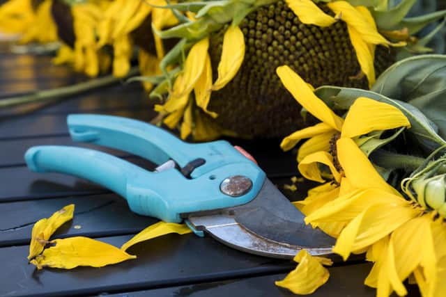 Community groups could be asked to tend to shrub beds while the council’s own roads, ground and street cleansing staff would be expected to take on more tasks.