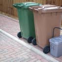 Falkirk Council is proposing charging for brown bin uplifts