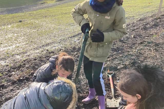 Winchburgh Primary School Pupils planting trees.
