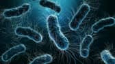 Falkirk Council's procedures for testing for legionella were previously deemed "unacceptable". Pic: Adobe stock