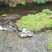 Little Denny Reservoir is become a dumping ground for all sorts of filth - from dog's dirt to Buckfast bottles, nappies and more