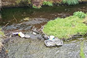 Little Denny Reservoir is become a dumping ground for all sorts of filth - from dog's dirt to Buckfast bottles, nappies and more