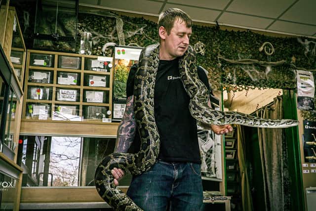 Racks 4 Reptiles owner George Struthers with Larry the Burmese python
