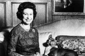 Queen Elizabeth II posing with one of her beloved Corgi dogs.