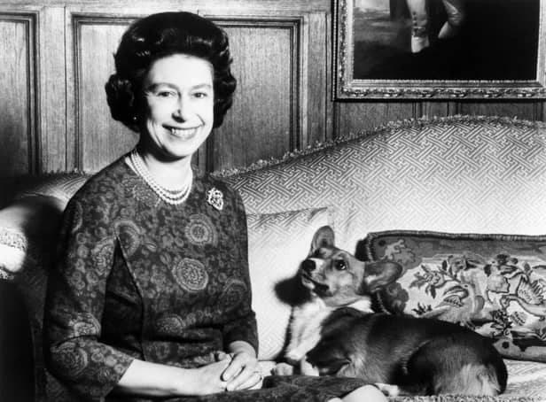 Queen Elizabeth II posing with one of her beloved Corgi dogs.