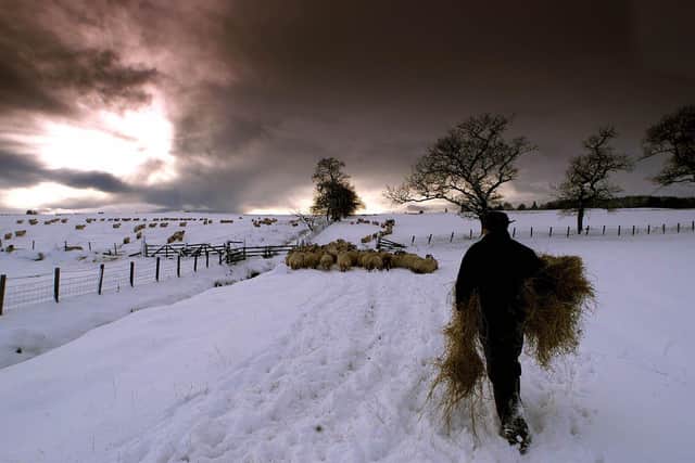 Financial assistance is available to farmers struggling to heat their homes as temperatures continue to drop
(Picture: Ian Rutherford, National World)