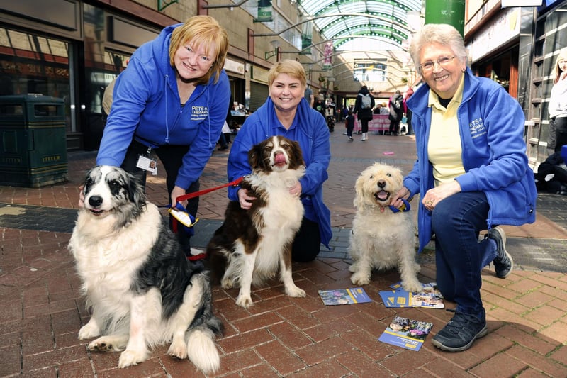 Pets as Therapy group looking for new members to visit schools and other organisations.