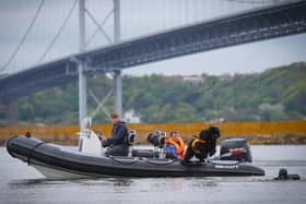 A rescue demo with Newfoundland dogs was organised as part of the RNLI fundraising weekend.