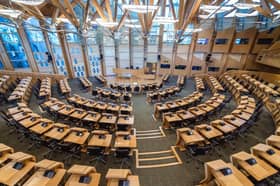Central Scotland MSP Stephen Kerr says the Scottish Conservatives are "often" the only real opposition in Holyrood. Pic: Stoke adobe
