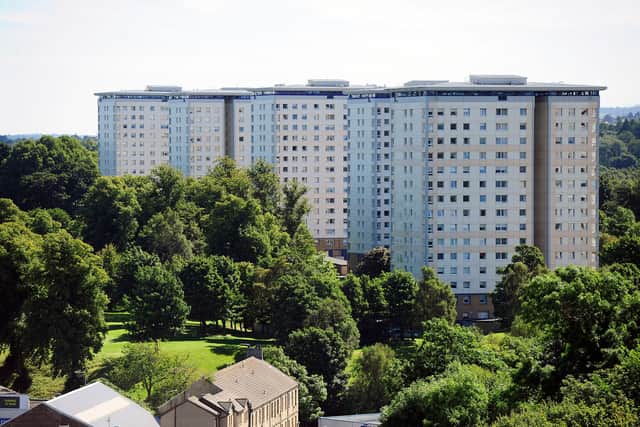 High flats at Callendar Park. (Pic: Michael Gillen)
