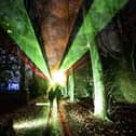 The Festive Forest returns to Beecraigs Country Park