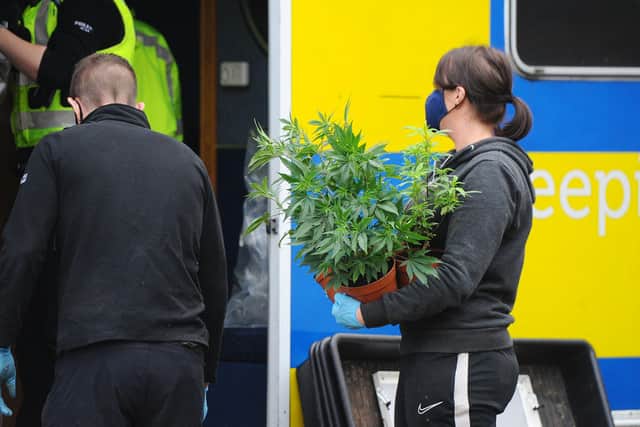 Police discovered a cannabis farm worth £32,000 at an address in Duke Street, Denny. Picture: Michael Gillen.
