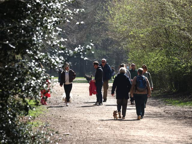 Hundred Acre Woods is popular with dog walkers
Picture: Sam Stephenson.