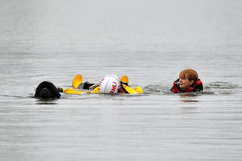 Scottish Newfoundland Club water rescue part two as Magali Bourgeois and Morven show off their skills