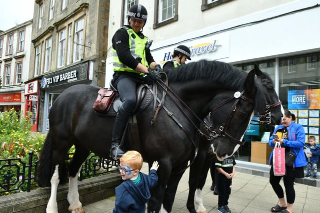 A tentative pat for the police horse.