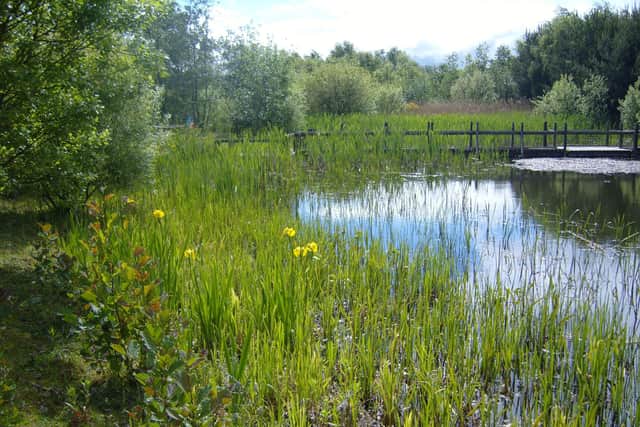 The pond at Jupiter Urban Wildlife Centre, Grangemouth provides an oasis in an industrial centre. Pic: Contributed