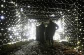 Plans for a festive light trail at Rough Castle have been cancelled this year after Scottish Canals cut back its support for the event. Pic: Michael Gillen
