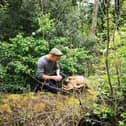 Gerard foraging for mushrooms