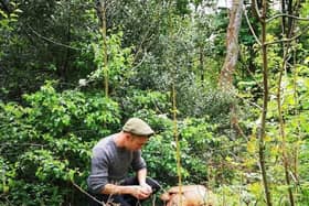 Gerard foraging for mushrooms