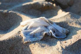 Wet wipes are damaging the environment, polluting waters and shorelines.