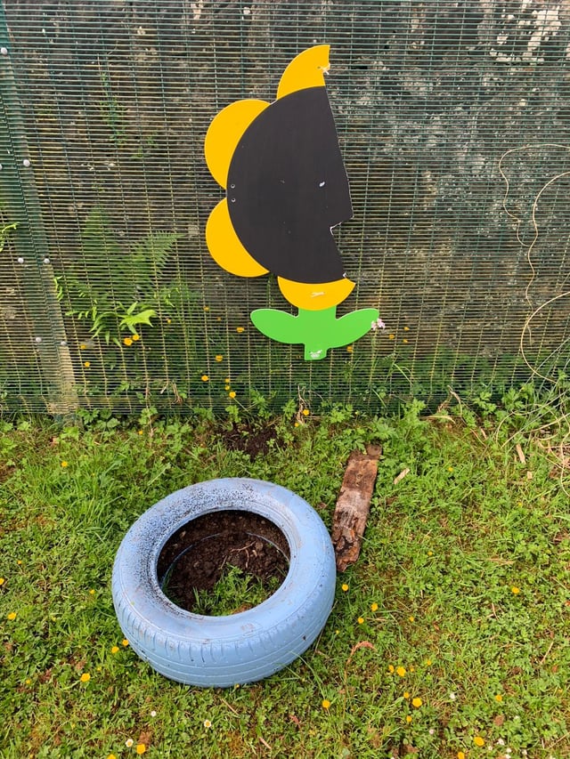 Vandals have once again targeted the garden of Windsor Park School and Sensory Services