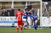 Kieran McKechnie and Cammy Logan wheel away to celebrate after Coll Donaldson fumbled the ball into his own net (Pictures by Michael Gillen)