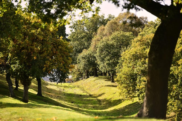 Bonnybridge. Seabegs Wood on the Antonine Wall.