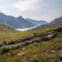 Mountain biker Rab Wardell has died just days after winning the Scottish Championship.