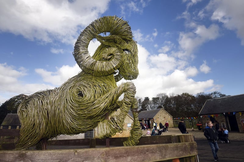 An impressive artwork of a ram that can be seen at Newparks Farm