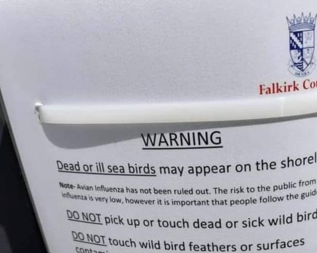 Falkirk Council has issued a warning to the public concerning the dead birds