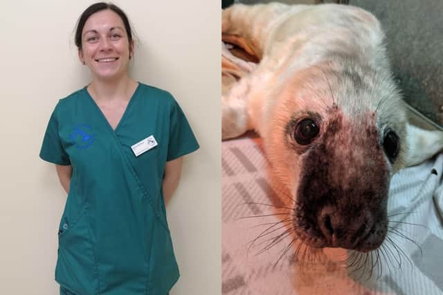 Westport Vets nurse Nicola McPhee and the seal pup she helped rescue at South Queensferry Beach.