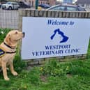 Jenkins made a special visit this week to Westport Vets in Linlithgow to celebrate International Guide Dog Day on Wednesday.