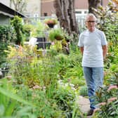 Tom Williamson's hidden garden will again be open to the public. Pic: Michael Gillen