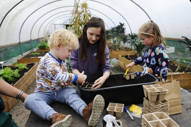 Archie Scott (3) and Molly Somerfield (3) with expert seed planter Kimberly McGregor (11).