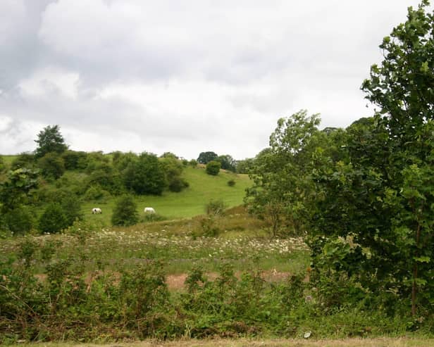 Could this be the site of the battle at Beancross? Pic: Contributed