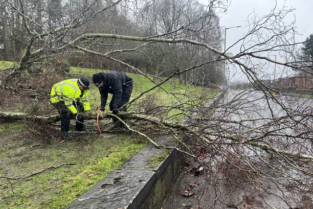 Police officers cut down a fallen tree in Callendar Road, Falkirk earlier today. Pic: Michael Gillen